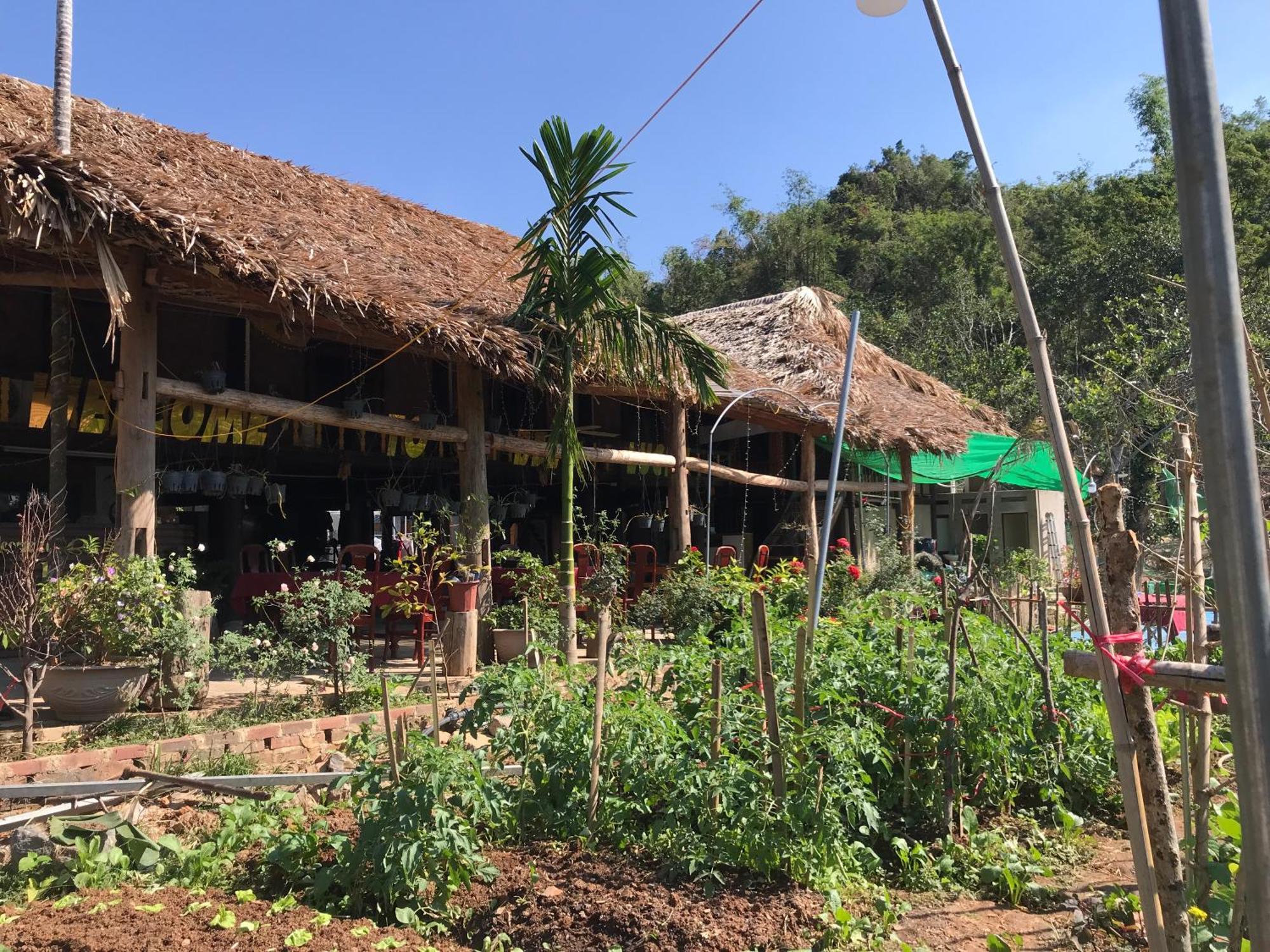 Bee Lucky Homestay Hien Hao エクステリア 写真