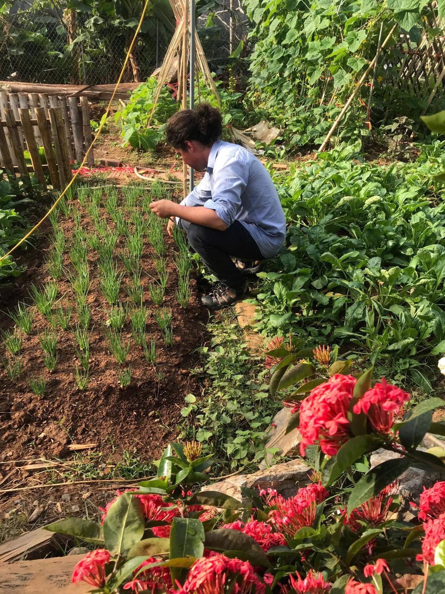 Bee Lucky Homestay Hien Hao エクステリア 写真