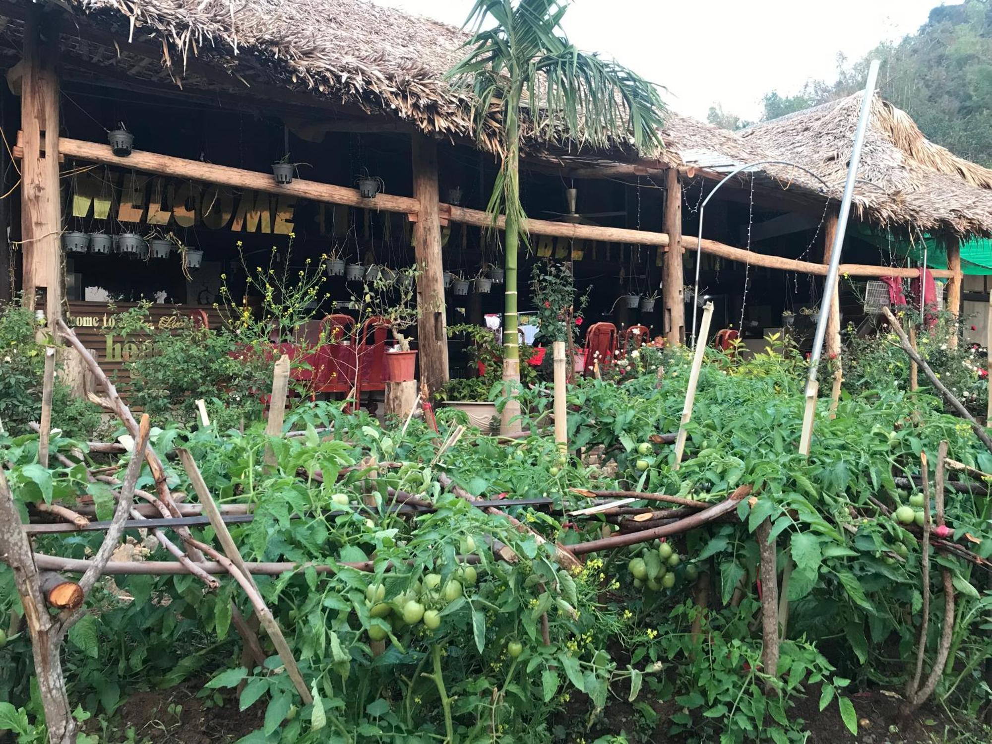 Bee Lucky Homestay Hien Hao エクステリア 写真