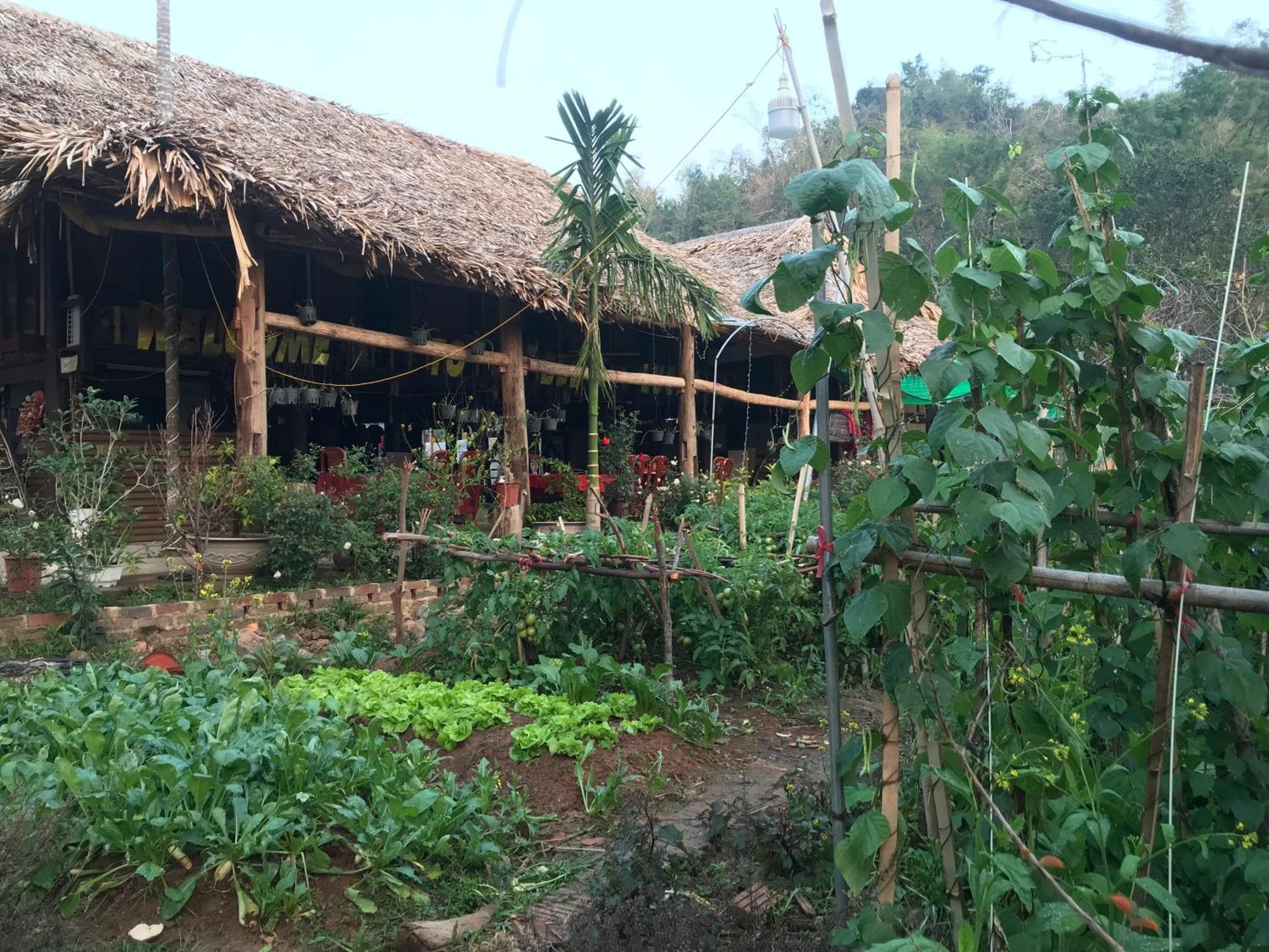 Bee Lucky Homestay Hien Hao エクステリア 写真