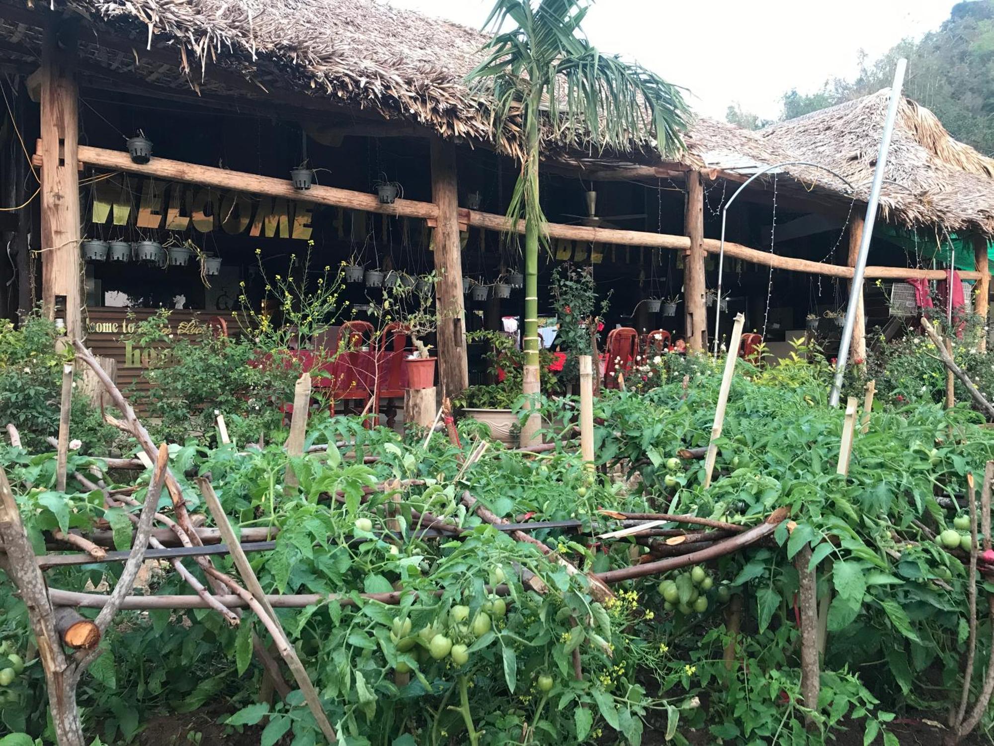 Bee Lucky Homestay Hien Hao エクステリア 写真