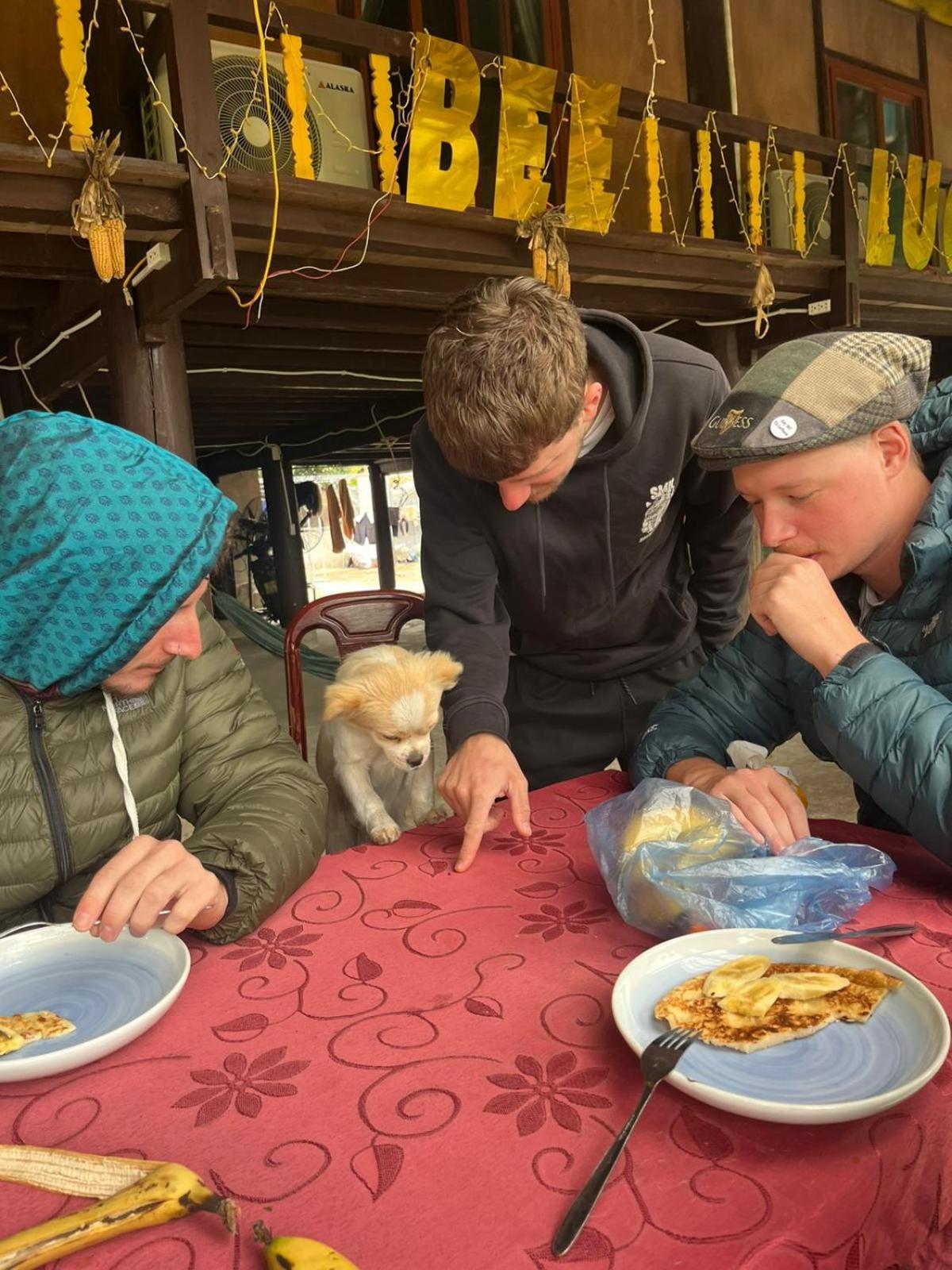 Bee Lucky Homestay Hien Hao エクステリア 写真
